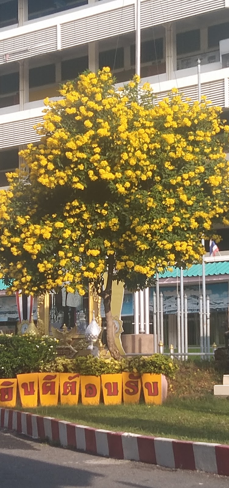 โรงเรียนวัดกก