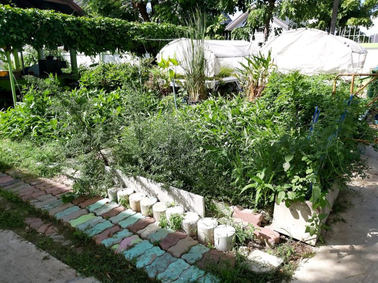 โรงเรียนวัดยายร่ม (วัฒนราษฎร์รังสรรค์)