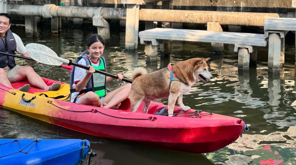 เดิน-ปั่น-พาย ที่ย่านคลองบางมด