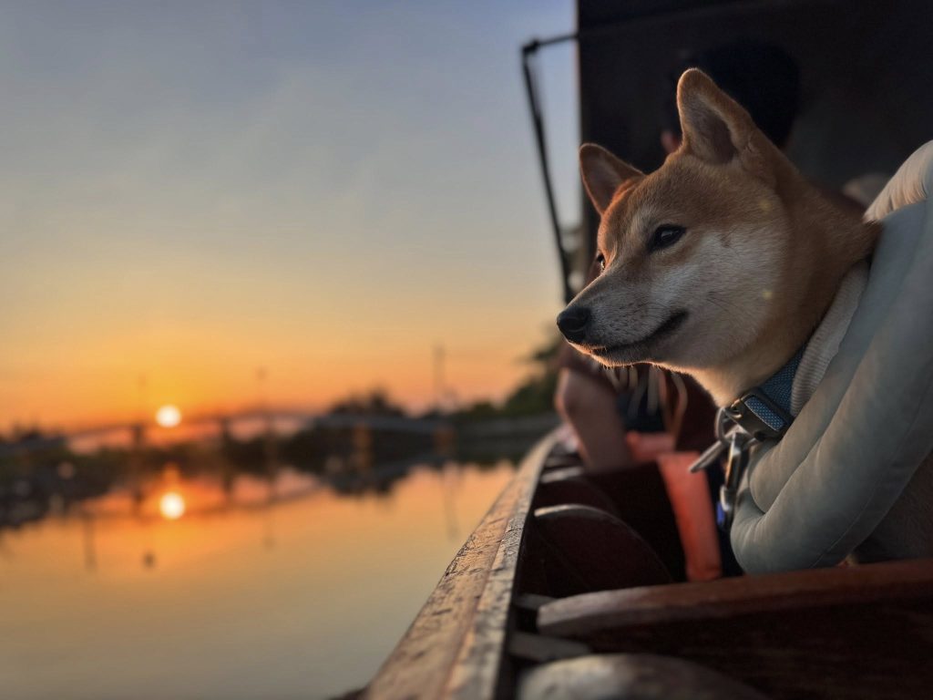 611169956 854407377373870 7551838273038484967 n