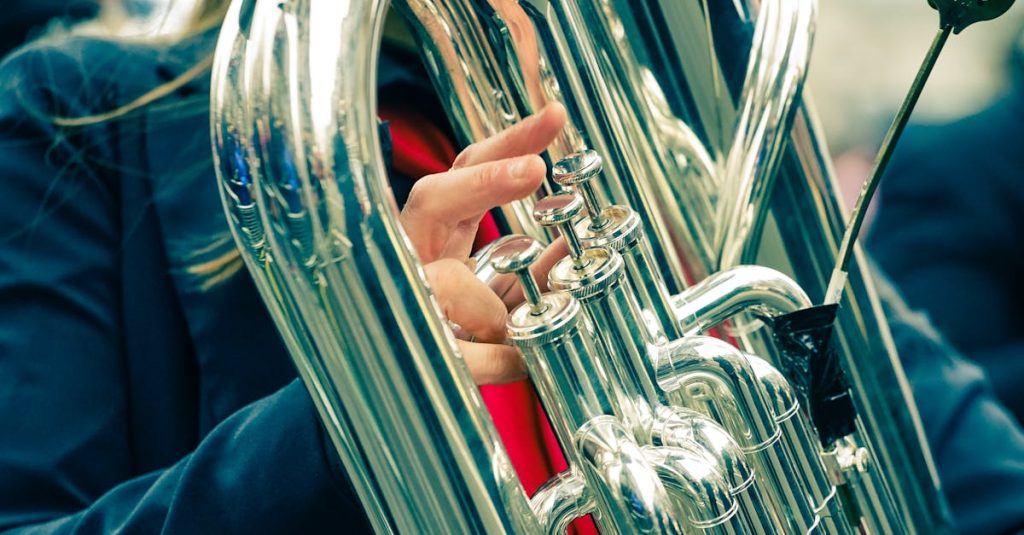 กิจกรรมวงบางกอก โลว บราส อองซอมเบิล